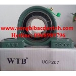 GỐI ĐỠ-Ổ BI-BẠC ĐẠN WTB UCP207